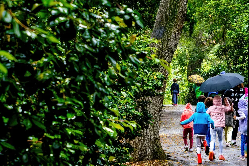Serving the Tedder, FL Community — Tedder, FL